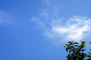 静岡市駿河区に新しい家族葬の専門斎場登場！低価格・安心の「家族葬のタクセル大和」詳細情報と特徴解説