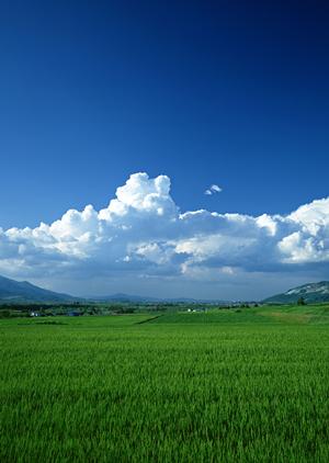 静岡県浜松市に新たにオープンした家族葬専門斎場【家族葬のタクセル有玉南町】の概要と特徴