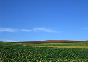 静岡市の安心と信頼の葬儀サービス【富士葬祭 静岡】? 多彩なプランと充実の施設で最適な葬儀をサポート