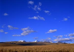 宇都宮市の家族葬から一般葬まで対応。さがみ典礼 元今泉の詳細と特徴を徹底解説