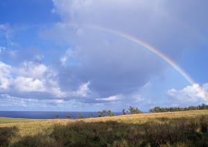 静岡県の葬儀・家族葬・火葬を低価格で実現する【家族葬のタクセル】?豊富な斎場と安心サポート