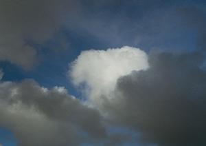 静岡県富士市の安心・信頼の葬儀サービス【富士葬祭 富士松岡】による多様な葬儀プランと充実の施設紹介